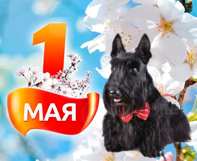 Поздравляем вас