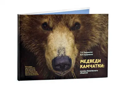 Медведи Камчатки