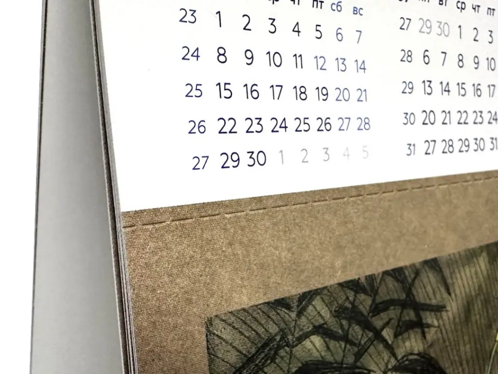 IMG_8353_R.jpg IMG_8353_R.jpg